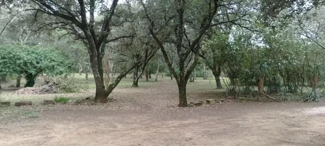 Tente Safari Au Pont Du Gard Vers-Pont-du-Gard Eksteriør bilde